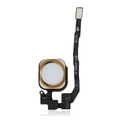 Botão Home With Flex Cable para iPhone 5S / SE (2016) (Gold)