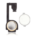 Botão Home With Flex Cable para iPhone 4 (White)
