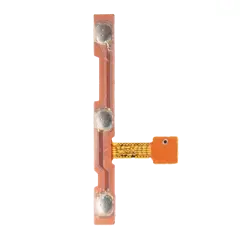 Power / Volume Flex Cable para Samsung Galaxy Tab 8.9" (P7300)