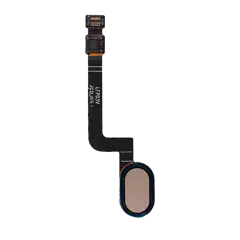 Botão Home With Flex Cable para Motorola Moto G5 Plus (XT1687 / 2017) (Gold)