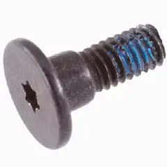 Screw Set (T6, Power Supply) para Mac Mini A2348 (2020) / A2816 (2023) / A2816 (2023) (OEM Original) (5 Pack)